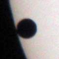 venustransit